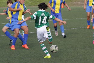 九游官网下载app下载-上海申花再遭柔佛新山逆转，1-3失利痛失连胜机会